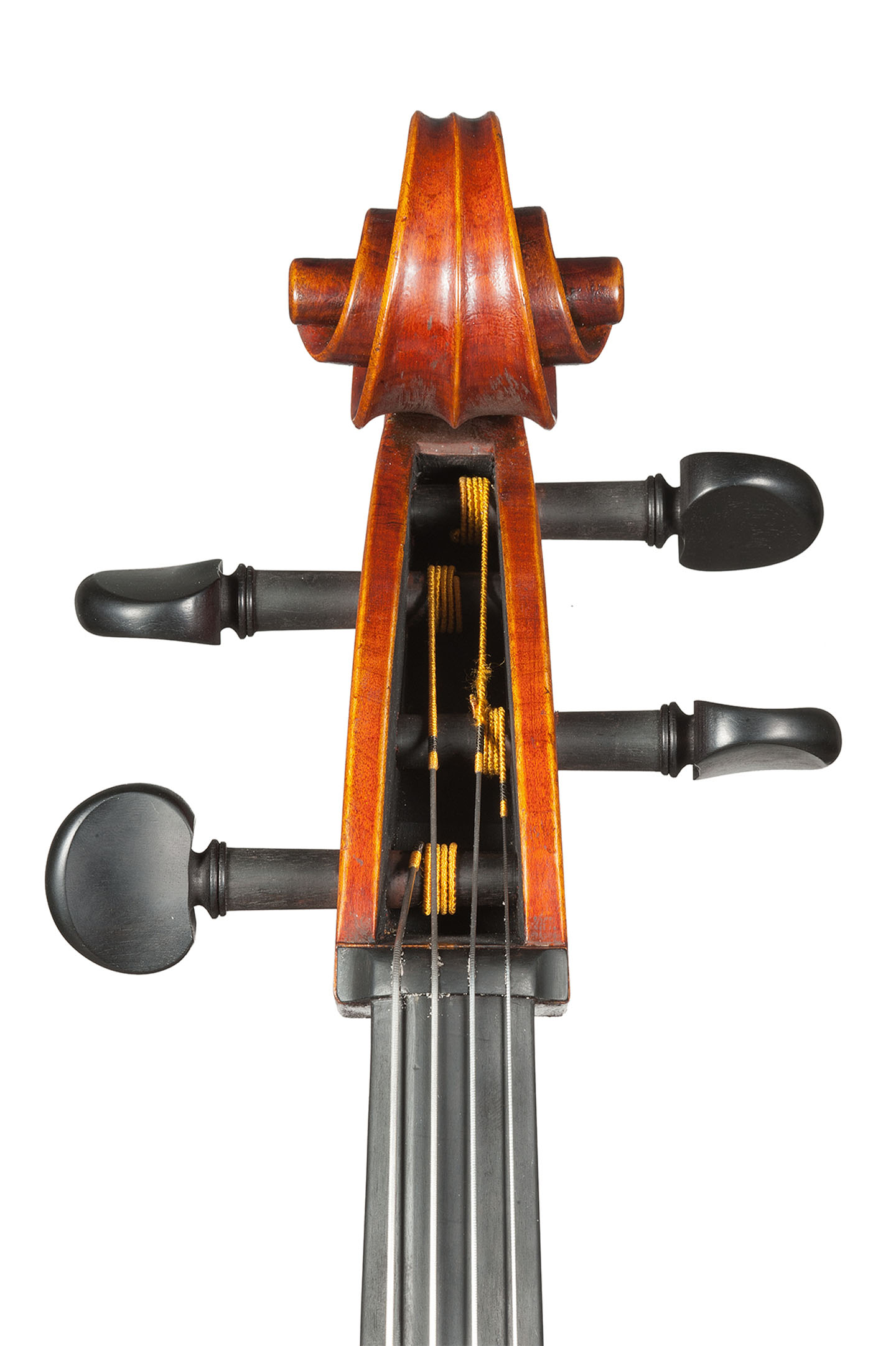 cane-violoncello-01-22-03