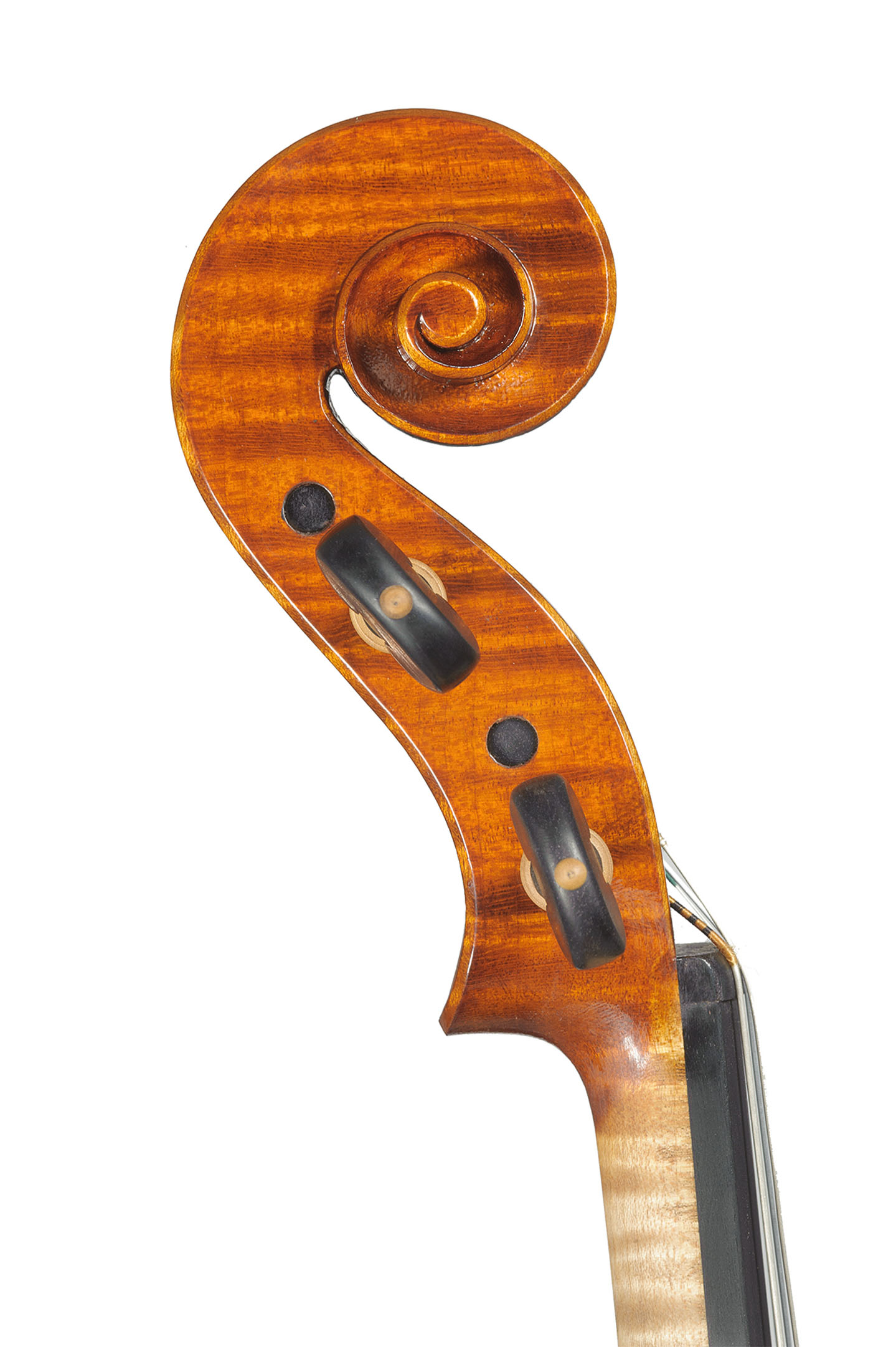Crotti-violin-1-5
