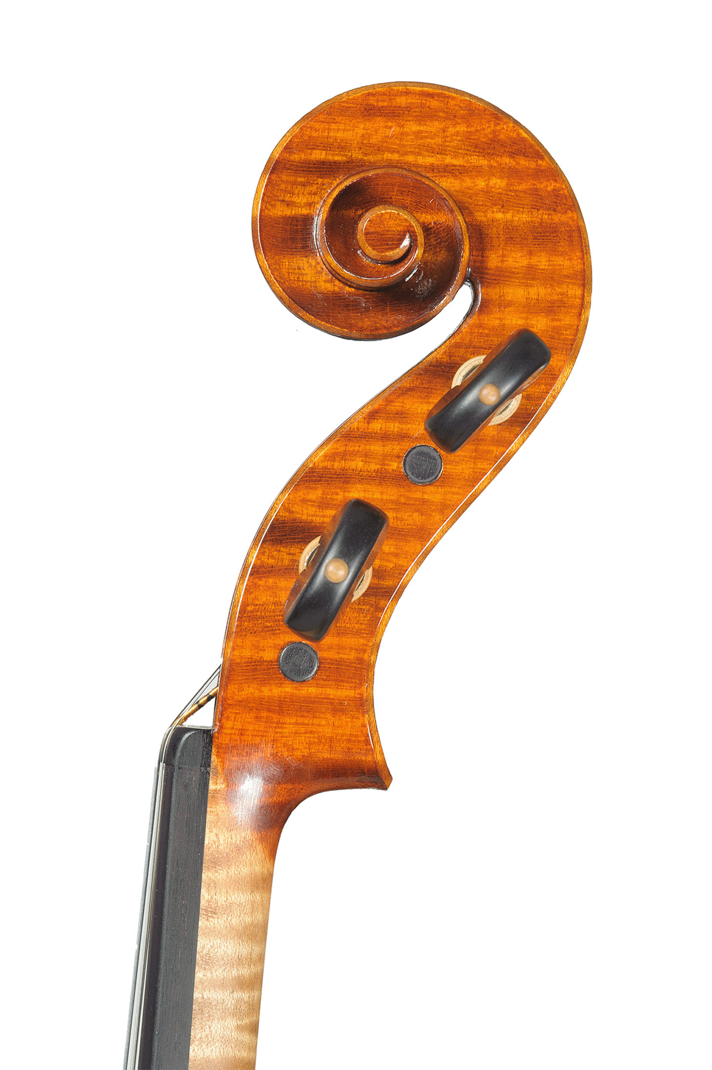 Crotti-violin-1-6