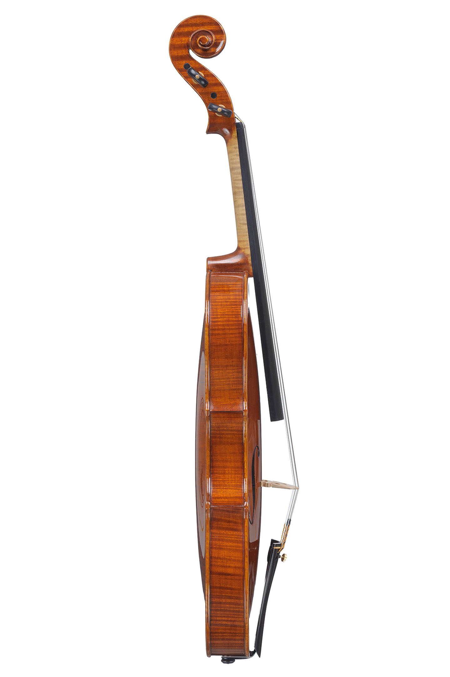Crotti-violin-1-8