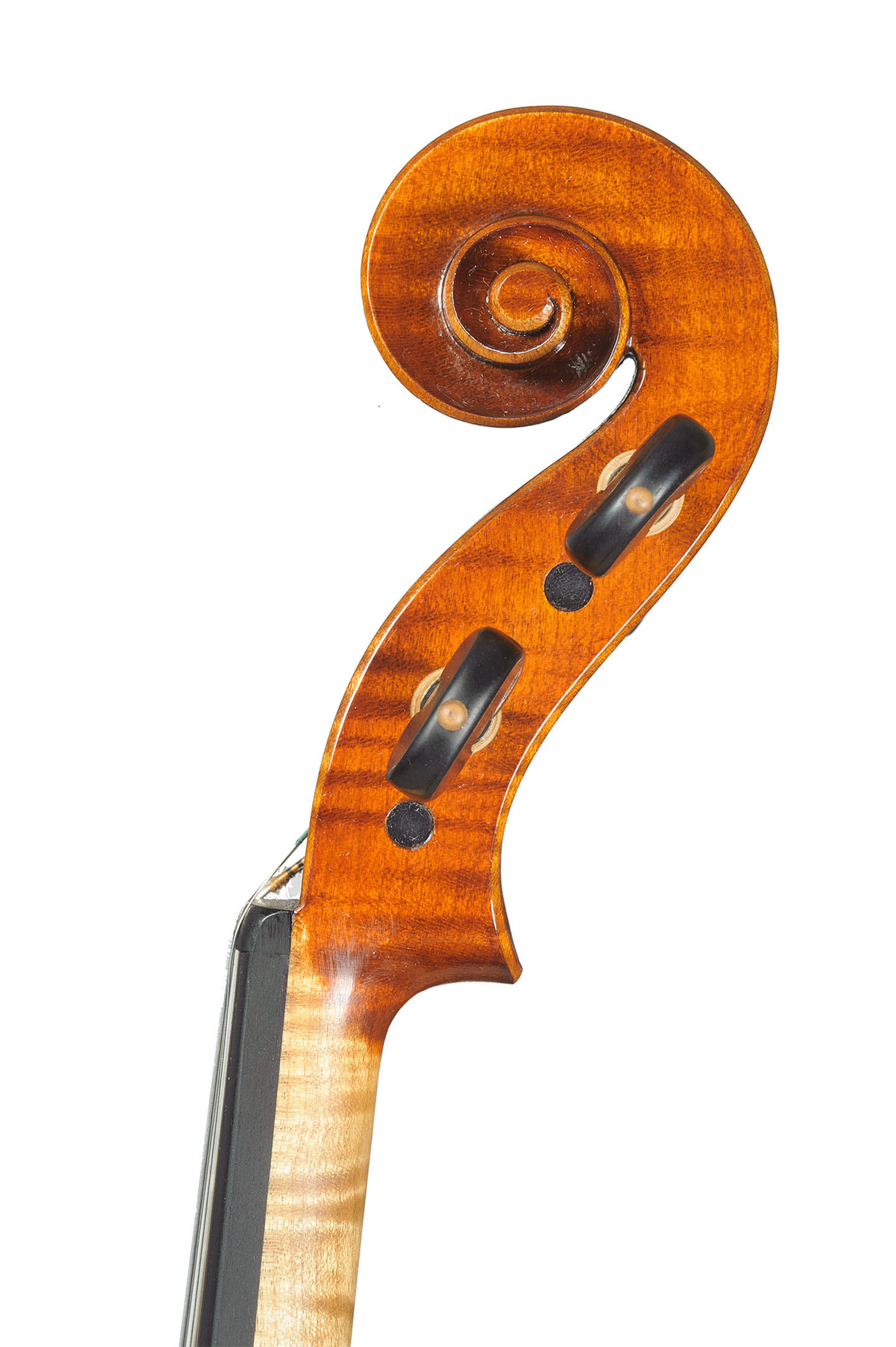 Crotti-violin-2-6