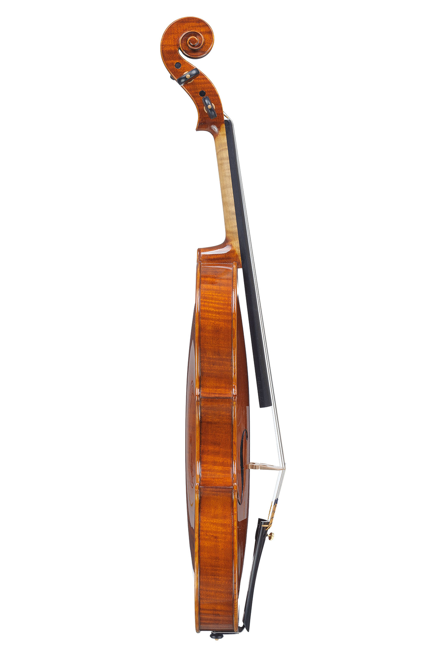 Crotti-violin-2-8