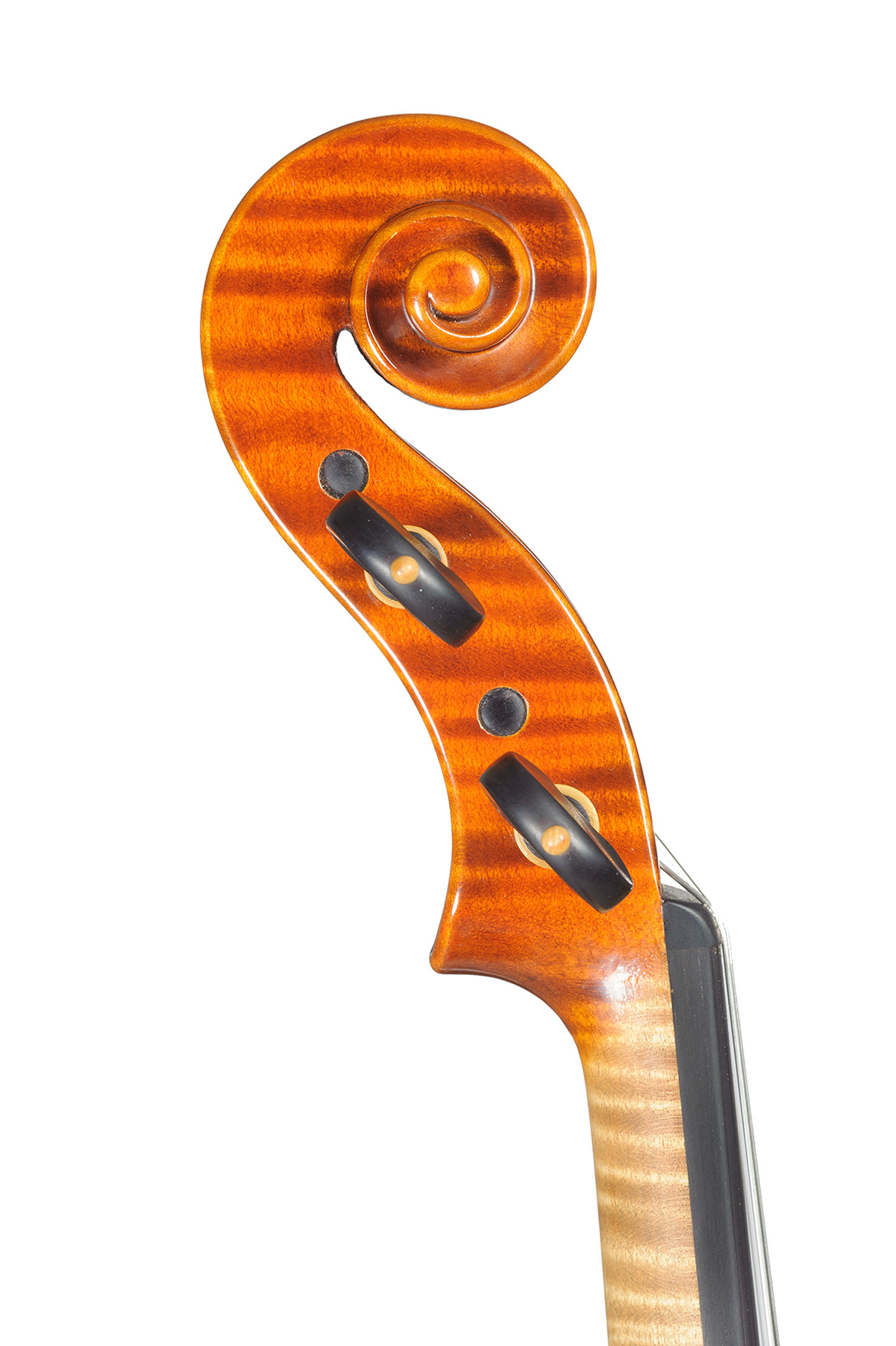 master-piccinotti-violin-4-5