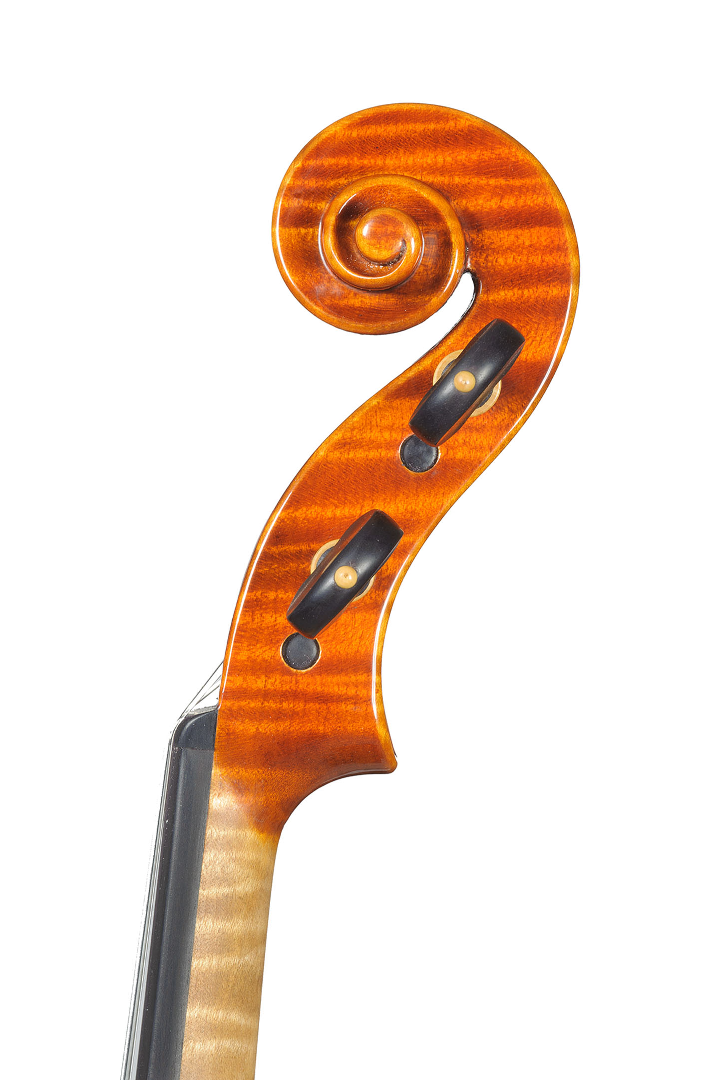 master-piccinotti-violin-4-6