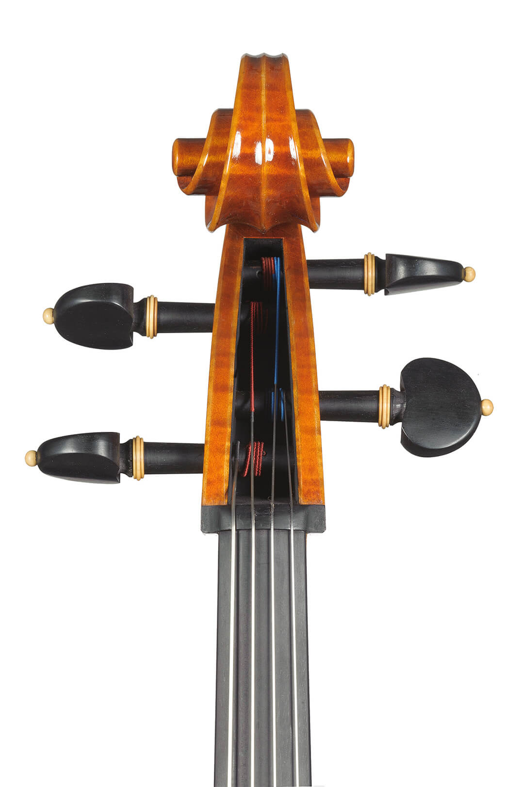 Master-piccinotti-violoncello-249-22-03