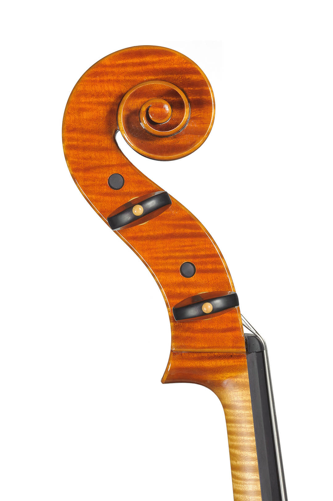 Master-piccinotti-violoncello-249-22-05