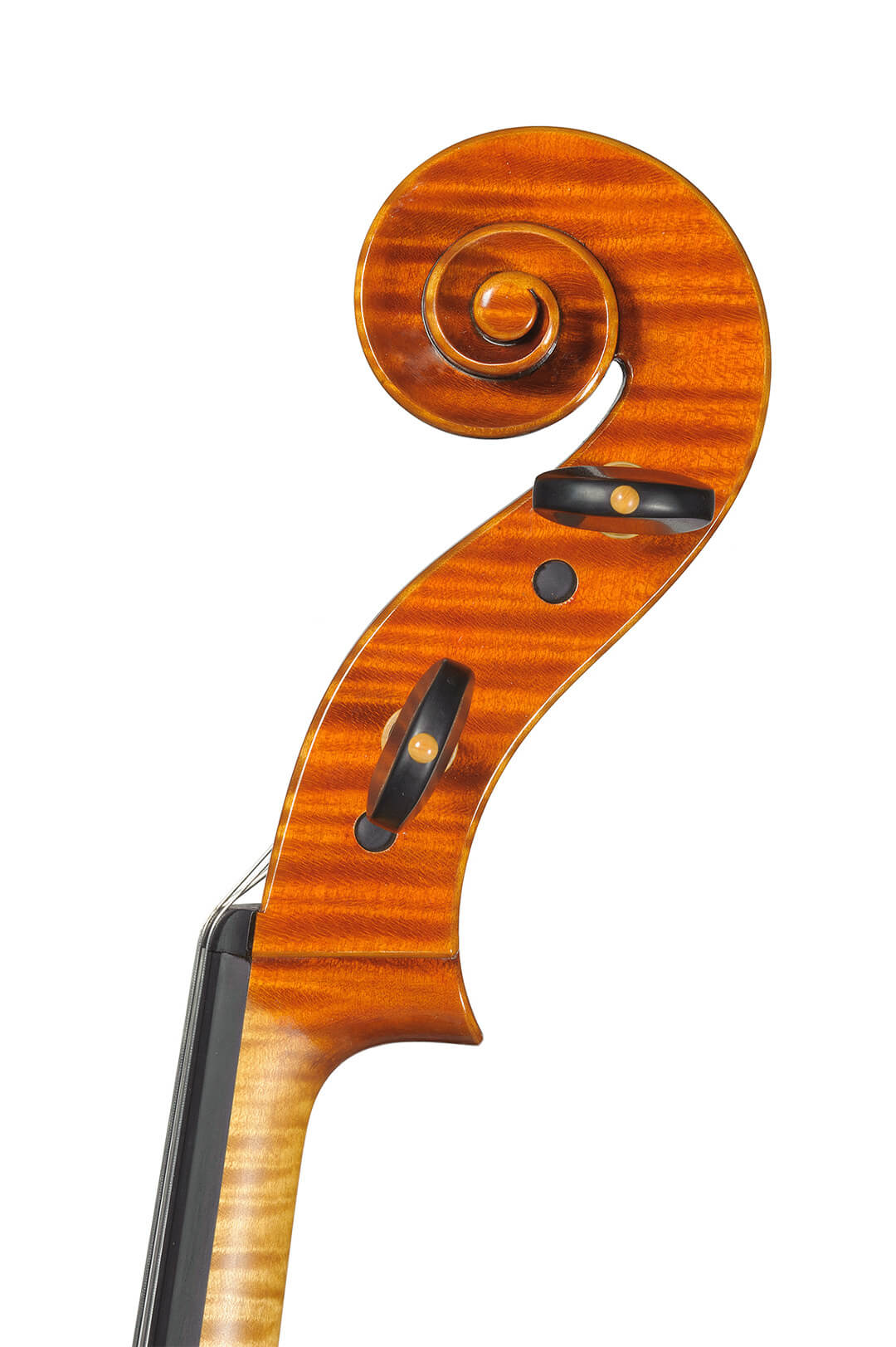 Master-piccinotti-violoncello-249-22-06