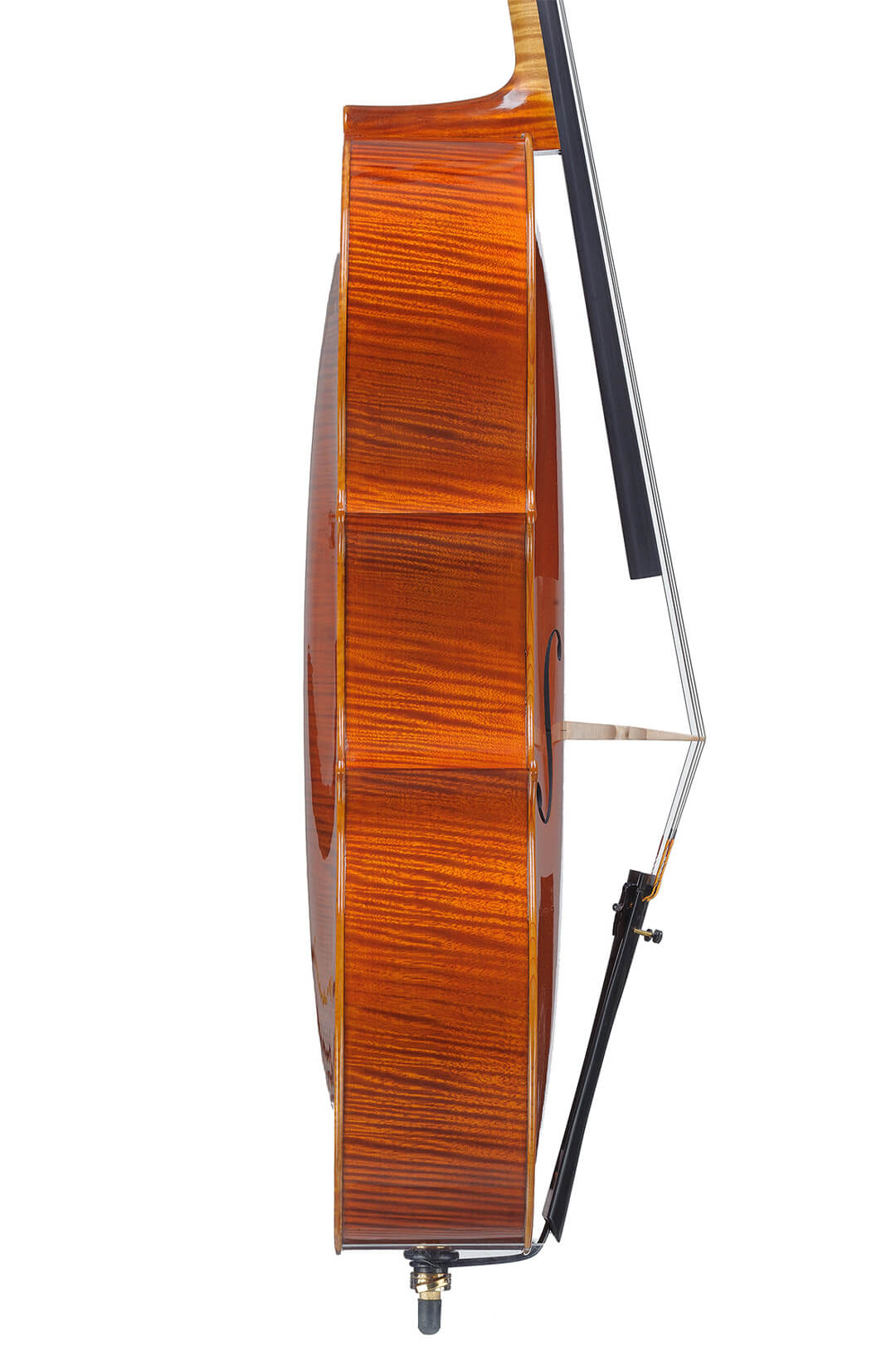 Master-piccinotti-violoncello-249-22-08