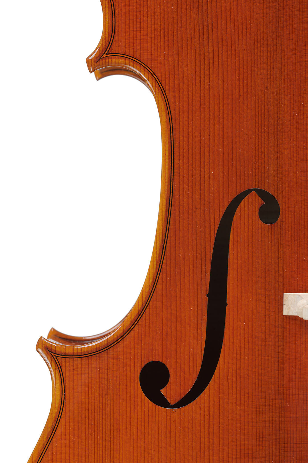 Master-piccinotti-violoncello-249-22-10